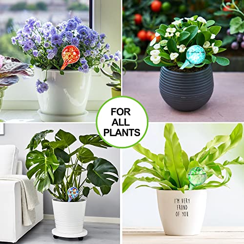 Nhmpretty Plant Watering Globes 6 Pack Hand-Blown Colorful Glass Plant Watering Devices Self Watering Bulbs for Plants for Indoor and Outdoor Use Water Globes for Plants