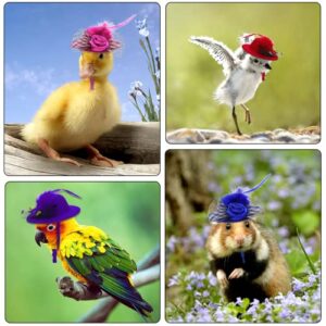 2 Pieces Chicken Hats for Hen Mini Pet Hat Accessories Feather Top Helmet Funny Small Hat Adjustable Elastic Chin Strap Rooster Parrot Poultry Stylish Animal Pet Show Costume