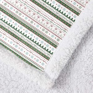 Dinjoy Christmas Holiday Throw Blanket, Snowflake Christmas Tree Green White Fuzzy Sherpa Fleece Plush Bed Throw Kid Xmas New Year, Fluffy Blanket for Bed Sofa Couch Car 50x60 Inches