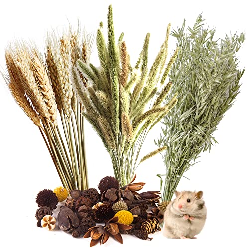 NICERINC PET Natural Ear of Grain Flower&Herb Bedding Mate Habitat Decor, Adding Fun Hamster Accessories for Hamsters Gerbils Lemming