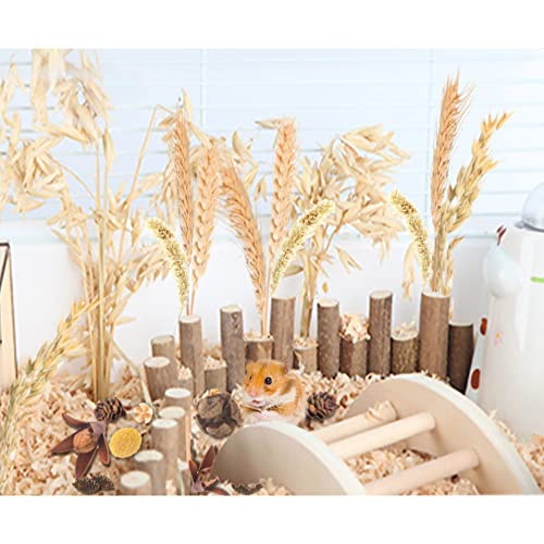 NICERINC PET Natural Ear of Grain Flower&Herb Bedding Mate Habitat Decor, Adding Fun Hamster Accessories for Hamsters Gerbils Lemming