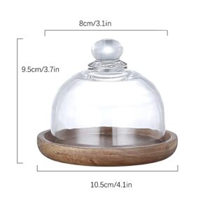 KVMORZE Mini Glass Dessert Dome with Base, Small Decorative Cake Tray with Glass Dome Cover, Cake Fruit Display Server Tray for Kitchen/Birthday/Party/Wedding, Appetizer Dessert Cheese Serving Platter