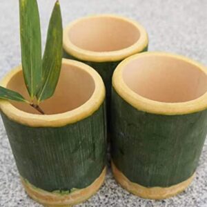 WellieSTR 1PC (L/Dia.12~14cm/H 15CM) Natural Bamboo Cup Home Decoration Keys Pens Storage Bamboo Crafts Christmas Birthday Friend Gifts,Bamboo Wrapped Sticky Rice Steamer,Chinese Snack Tool