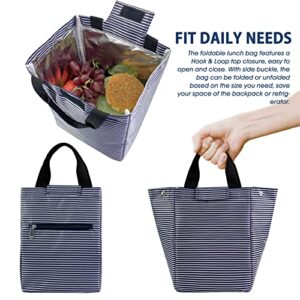 Mziart Insulated Lunch Bag for Women Men, Foldable Reusable Bento Lunch Bag Lunch Box Cooler Waterproof Lunch Tote Bag Lunch Container for Work Office Picnic or Travel (Blue White Stripes)