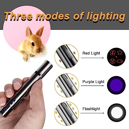 Bunny Rabbits Pointer Toy,Guinea Laser Pointer,7 Adjustable Patterns Laser,Cat Toy Pointer for Indoor, 5 Switchable Patterns,Red Light Hamsters Rats Pointer Toy,USB Charging Pointer Toy