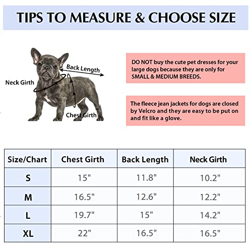 Queenmore Dog Winter Jacket, Fleece Lined High Collar Denim Jacket for Small Medium Dogs, Jeans Style Cold Weather Jacket with Stock Pockets, M