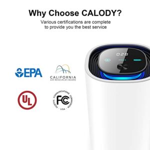 Calody Air Purifiers for Bedroom Home, Car air purifier Ionizer, 15 Million Negative Ions for Smokers, 30dB Quiet Portable Ionic Air Purifiers, Helps Alleviate Allergies, Dust, Smoke and more — Ideal for Traveling, Home, and Office Use