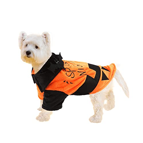 Fihome Halloween Pumpkin Dog Costume, Funny Pet Shirt Cat Dog Costume with Bat Wings for Small Medium Large Cats Kittens Puppy Cosplay Halloween Spooky Night Party Decoration (S/Pumpkin Color)