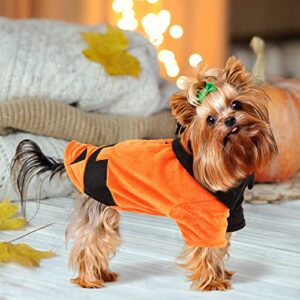 Fihome Halloween Pumpkin Dog Costume, Funny Pet Shirt Cat Dog Costume with Bat Wings for Small Medium Large Cats Kittens Puppy Cosplay Halloween Spooky Night Party Decoration (S/Pumpkin Color)