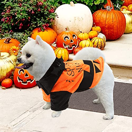 Fihome Halloween Pumpkin Dog Costume, Funny Pet Shirt Cat Dog Costume with Bat Wings for Small Medium Large Cats Kittens Puppy Cosplay Halloween Spooky Night Party Decoration (S/Pumpkin Color)