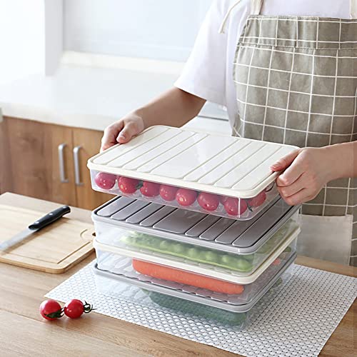 Food Storage Containers Household Dumpling Storage Box Multi Layer Food Grade Quick Freezing Box Disposable Meal Prep Containers with Lids (A, One Size)