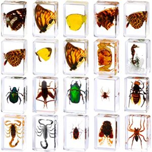 20 pcs insect in resin bug preserved specimen collection paperweights resin insects various insect specimen for office men women biology science teacher education bug collection supplies (butterfly)
