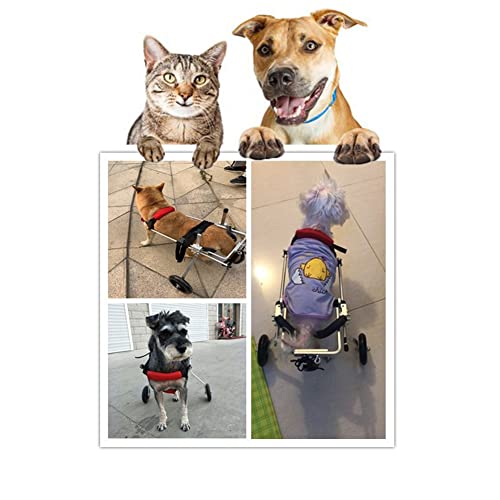 QingYi Dog Wheelchair , Adjustable Animal Exercise Wheels,Cart Pet Wheelchair for Handicapped Hind Legs Small Pet/Cat/Dog Walk (M), Red