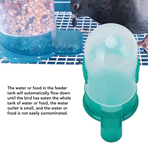 GLOGLOW Pigeon Water Feeder, Automatic Bird Pigeon Food Feeder Water Dispenser for Sparrow Parrorts Budgie Cockatiel Lovebirds