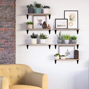 Wallniture Arras Floating Shelves for Living Room Decor, 17" Wall Bookshelf, Plant Shelf, Kitchen Organization and Storage Shelves for Bedroom Decor, Natural, Set of 6