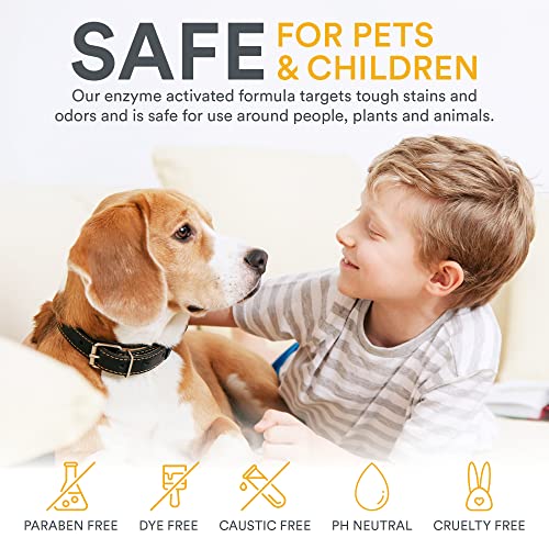 Zeiff Pet Stain and Odor Remover - Pet Odor Eliminator for Home and Professional Use - Pet Urine Enzyme Cleaner to Break Up Tough Stains - Carpet Stain Remover for Dog Urine and Cat Pee, Feces, Fluids