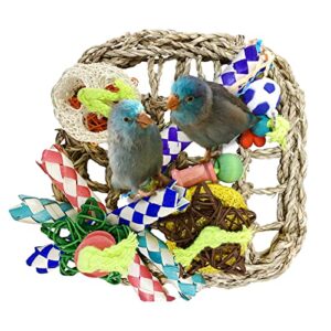 Parrot Toys Bird Foraging Toys, Seagrass Woven Climbing Hammock Net with Colorful Chewing Toys, for Lovebird Parakeets Cockatiel Conure Budgie,Cockatoo