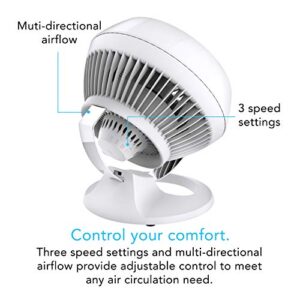 Vornado 6803DC Energy Smart Medium Pedestal Air Circulator Fan with Variable Speed Control, Ice White & 460 Small Whole Room Air Circulator Fan with 3 Speeds, 460-Small, White
