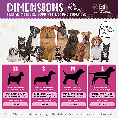 Dog Grooming Hammock Harness for Cats Dogs - Complete Groomers Helper Set for Pets - Pet Grooming Hammock Dog Nail Clipper - Dog Hammock for Nail Clipping - Dog Sling Lift Harness for Dogs Cats