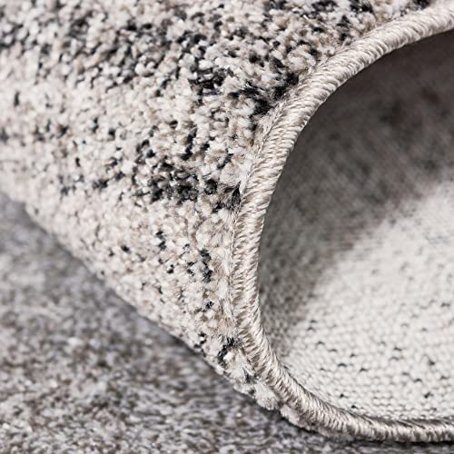 Rugs.com Angelica Collection Rug – 9' x 12' Light Gray Medium Rug Perfect for Living Rooms, Large Dining Rooms, Open Floorplans