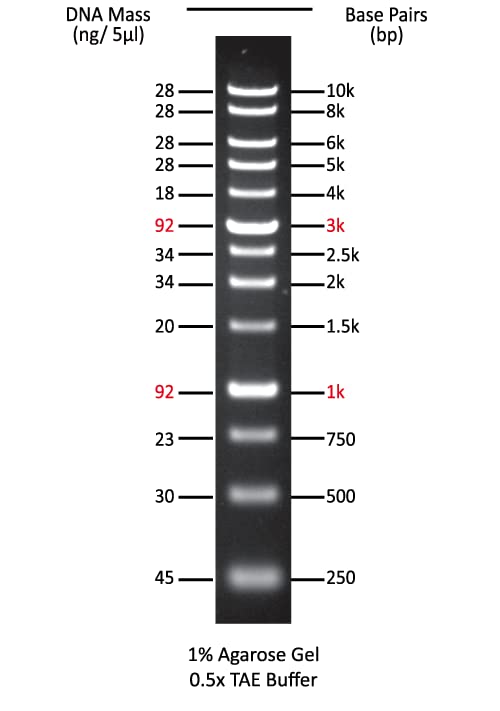 Azura PureView 1kb DNA Ladder 500 Lanes 5 x 500µl