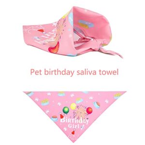 Mitili Dog Birthday Party Decorations - Pet Girl Pink Princess Style, Dog Birthday Triangle Bandana Crown Hat Tutu Scarf Collar Bow Happy Birthday for Pet Dog House Cat (4-Pack)