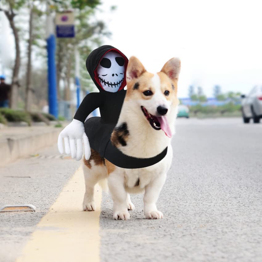 Otunrues Dog Costumes Halloween Funny Dog Ghost Riding Costume Funny Cat Halloween Costumes for Dogs Saddle Costume Novelty Pet Outfit Clothes for Halloween Cosplay Party M