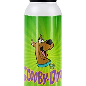 Scooby Doo! OFFICIAL Burst 24 oz Insulated Canteen Water Bottle, Leak Resistant, Vacuum Insulated Stainless Steel with Loop Cap, White