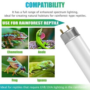 NEPTONION T8 Rainforest Terrarium Fluorescent Lamp Tube 18" Full Spectrum UVB Bulb, Dual-Threat UVA/UVB 5.0 Reptile Light for Reptiles and Amphibian, 15 Watt, 110V