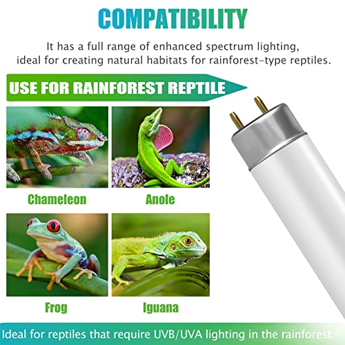 NEPTONION T8 Rainforest Terrarium Fluorescent Lamp Tube 18" Full Spectrum UVB Bulb, Dual-Threat UVA/UVB 5.0 Reptile Light for Reptiles and Amphibian, 15 Watt, 110V