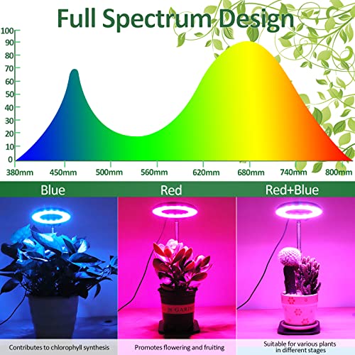 Grow Light, Full Spectrum LED Plant Light for Indoor Plants, Grow lamp with Stable Base, Height Adjustable and 3 Switch Modes, 3/9/12H Timer 10-Level Dimmable Brightness for Small Plant