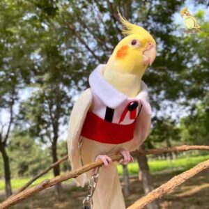 Barn Eleven Bird Uniform Flight Suit for Wedding Anniversary Christmas Partf Birthday Cosplay Photo Prop, Bird Costume Diaper Clothes for Macaw African Budgies Parakeet Cockatiel (Red,Budgie)