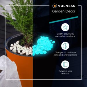 VULNESS Glow in The Dark Rocks Decorations - Ideal for Yard, Walkway, Driveway, Pathway, Backyard, Garden, Room Decor, Planter Aesthetic, Aquarium Fish Tank Accessories, Betta Gravel (0.4-0.6 inch)