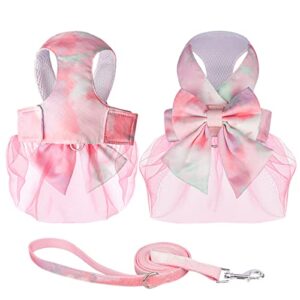 Dog Harness Dress with Leash, Princess Mesh Colorful Bow Dog Dress for Small Dogs Cats Girl Puppy Dress with D-Ring Outfits Vest Pet Clothes for Cats Puppy Small Dogs