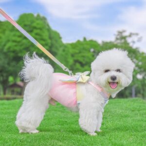 Dog Harness Dress with Leash, Princess Mesh Colorful Bow Dog Dress for Small Dogs Cats Girl Puppy Dress with D-Ring Outfits Vest Pet Clothes for Cats Puppy Small Dogs