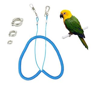 wishlotus parrot flying rope, 5 meters parrot foot chain flying training leash outdoor，anti-bite elastic string training harness for agapornis fischeri cockatiels starling birds (blue)