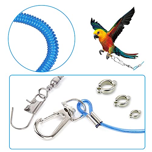 Wishlotus Parrot Flying Rope, 5 Meters Parrot Foot Chain Flying Training Leash Outdoor，Anti-Bite Elastic String Training Harness for Agapornis Fischeri Cockatiels Starling Birds (Blue)