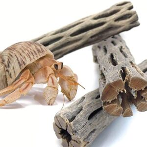 SunGrow Hermit Crab Woods, Climbing Logs, Chew Toy, Keep Hermies Busy and Active, Long Dried Aquarium Décor Adds Raw Beauty, 6 Pcs