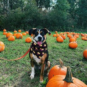 2Pcs Halloween Dog Bandanas,Pet Holiday Pumpkin Ghost Themed Pattern Bandanas,Scarf Triangle Bib Neckerchief Set for Dogs and Cats Costume Accessories