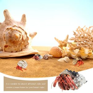 WEOXPR 15 Pieces Hermit Crab Shells - 15 Kind Large Growth Turbo Seashells, Opening 0.8" - 1.5" Natural Sea Shells for Hermit Crab Supplies, Aquarium Decoration