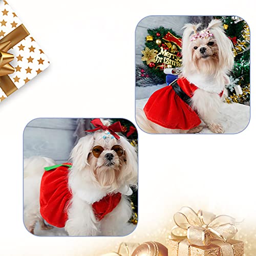 BDYJY Small Puppy Clothes for Girls Christmas Santa Dog Christmas Outfit Thermal Holiday Puppy Costume Dress Pet Clothes Angel Dog Outfit (Black, M)