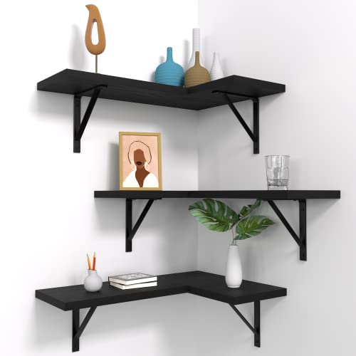 NATURE'S SOURCE Floating Corner Shelves Set of 3, Corner Shelves Wall Mounted, Floating Shelves for Bedroom Kitchen Living Room Bathroom Office- Gothic Style (Black)