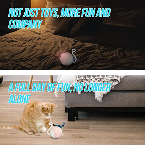 GOGODOGYA Cat toys,Interactive cat toy ball,Indoor Automatic Moving Cat Ball Toys/Puppies Toys,With LED Rainbow Lights,Feathers & USB Charging Cable,Touch control and Sound control Smart Start Cat Toy