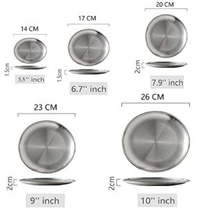 Bonilaan 304 Stainless Steel Plate, 5 Size Metal Plates , Matte Polished Rust-Proof Metal Round Dishes Set for Home Kichten, Outdoor Camping, Salad, Snack, Steak, Pizza and BBQ - Set of 5, Silver