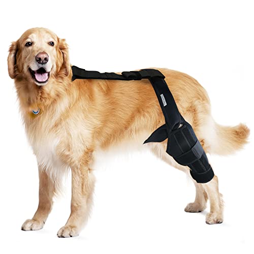 MerryMilo Adjustable Pet Knee Brace For Support With Cruciate Ligament Injury, Joint Pain And Muscle Sore, Better Recovery With Dog ACL Rear Leg Brace, (Size: M)