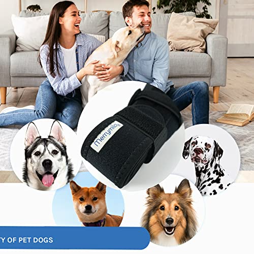 MerryMilo Adjustable Pet Knee Brace For Support With Cruciate Ligament Injury, Joint Pain And Muscle Sore, Better Recovery With Dog ACL Rear Leg Brace, (Size: M)