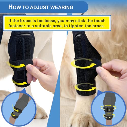 MerryMilo Adjustable Pet Knee Brace For Support With Cruciate Ligament Injury, Joint Pain And Muscle Sore, Better Recovery With Dog ACL Rear Leg Brace, (Size: M)