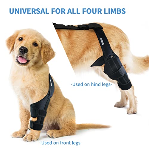 MerryMilo Adjustable Pet Knee Brace For Support With Cruciate Ligament Injury, Joint Pain And Muscle Sore, Better Recovery With Dog ACL Rear Leg Brace, (Size: M)