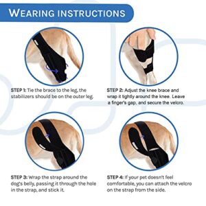 MerryMilo Adjustable Pet Knee Brace For Support With Cruciate Ligament Injury, Joint Pain And Muscle Sore, Better Recovery With Dog ACL Rear Leg Brace, (Size: M)