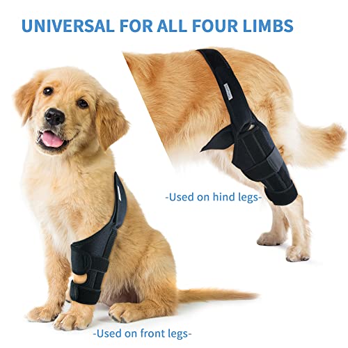 MerryMilo Adjustable Pet Knee Brace For Support With Cruciate Ligament Injury, Joint Pain And Muscle Sore, Better Recovery With Dog ACL Rear Leg Brace, (Size: M)